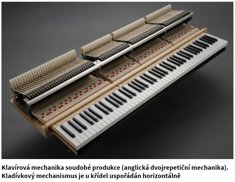 Tento obrázek nemá vyplněný atribut alt; název souboru je Křídlo.png.
